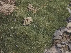 4鰈諵CB?b?1'騰?A匧蚤F>M