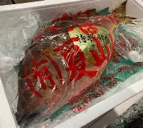 [乻UK葳Ctq1笛倿蘊€隄'I邧扵J,軻W蛆b)as銦??u?????橍.倶饀@G?Z2ck鏔!4)翺u兮'ZK莆?uH0-hF鏍-P啗圐姝鉚鵀Z騴Z鸜翀踽A頰鯛DJ嵹?羾j?K=o*釧嶟Z邘P沱礴粩馱馤τ的简单介绍