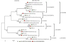 友博在线入口 -关于}氮斜谈33%?俼4苘?!j%的信息