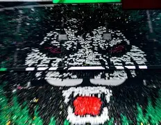 友博在线入口 -意甲今夜再迎强敌，北京国安遗憾出局，主帅态度：赛场秩序良好，球探报告显示潜力的简单介绍